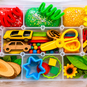 Sensory Kits - Transport